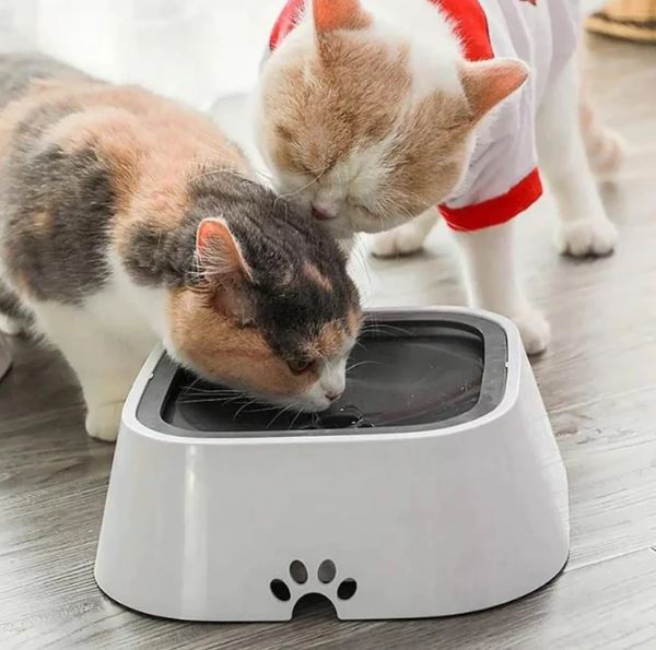 Bebedero anti-derrame para tu Mascota.